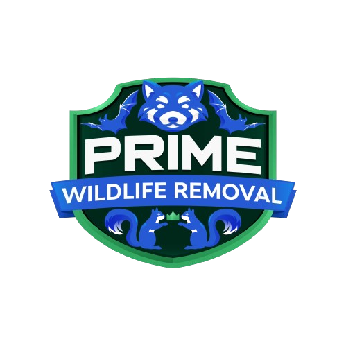 Animal Removal Danbury
